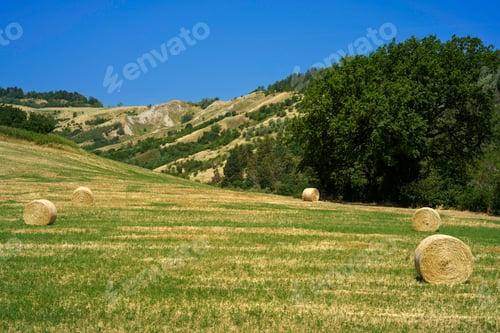 Preview: Country landscape near Castrocaro and Predappio, Emilia-Romagna