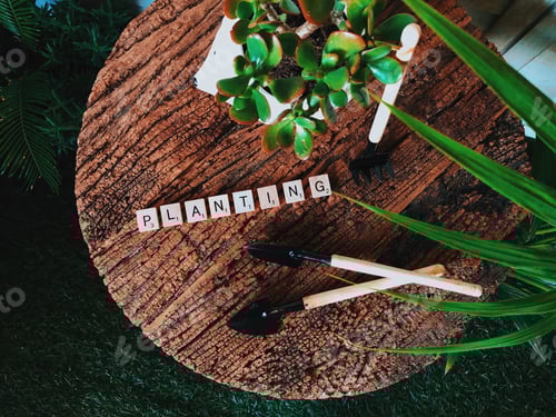 Preview: Planting flat lay and gardening tools