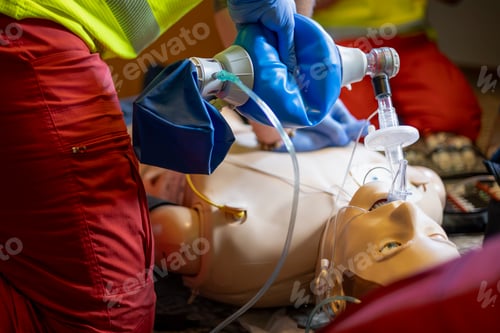 Preview: Hands of paramedic and doctor during resuscitation training