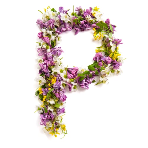 Vista previa: The letter «P» made of various natural small flowers.