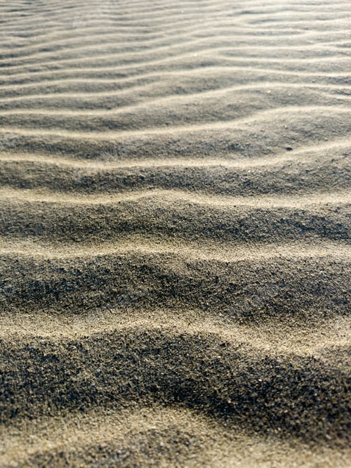 Preview: Photographic documentation of the beach shaped by the wind