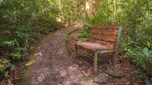 Preview: Bench in nature on a path