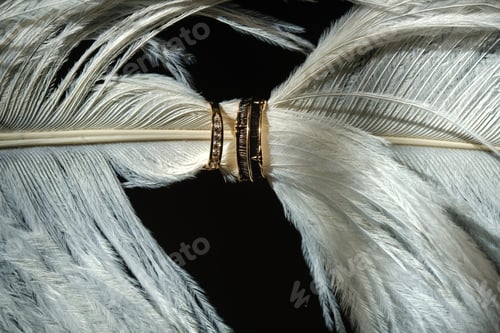 Preview: Two wedding rings lie in white feathers. The concept of love