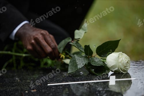 Preview: Hand of Black Man Laying Rose on Tombstone during Rain at Graveyard