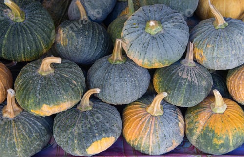 Preview: Pumpkin in the market of street thailand