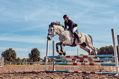 Preview: Female jockey on dapple gray horse jumping over hurdle in the open arena.