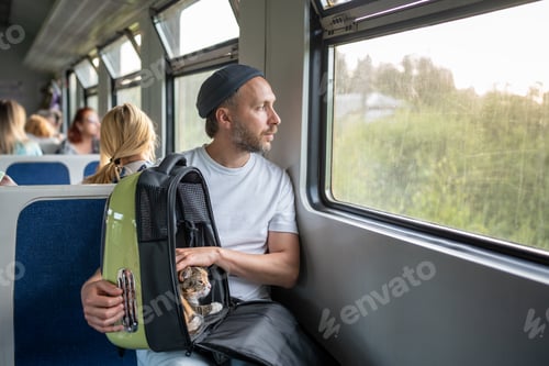 Preview: Thoughtful man owner calming stroking cat in pet backpack while look out window on train. Pet safety