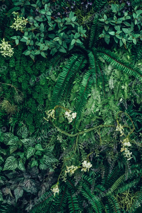 Preview: Close up group of background tropical green leaves texture and abstract background.