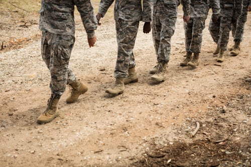 Preview: Group of military soldiers in a training session