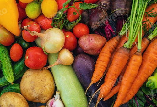Preview: Harvest vegetables in the garden. Selective focus.