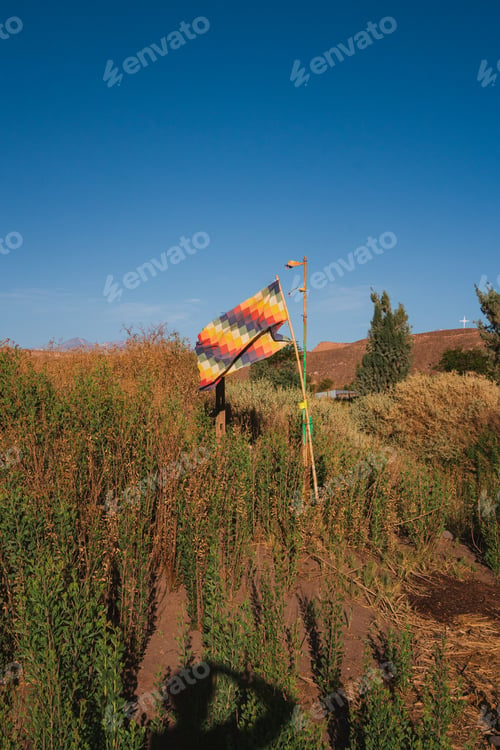 Preview: Whipala flag in a field in San Pedro de Atacama, Chile. Pov view: Photographer shadow.