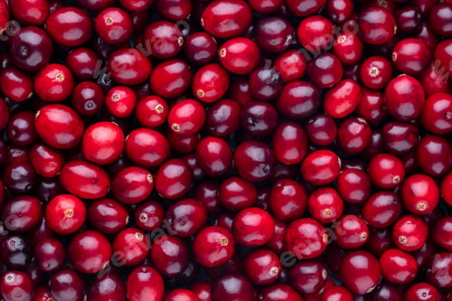 Preview: Cranberry bio background, food background.
