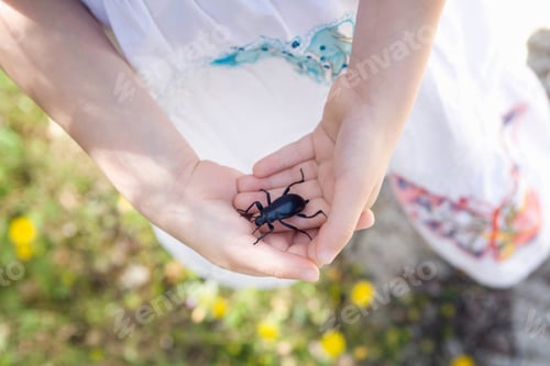 Preview: A young girl holding a beetle