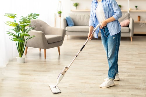 Preview: Portrait of cheerful woman cleaning floor with spray mop