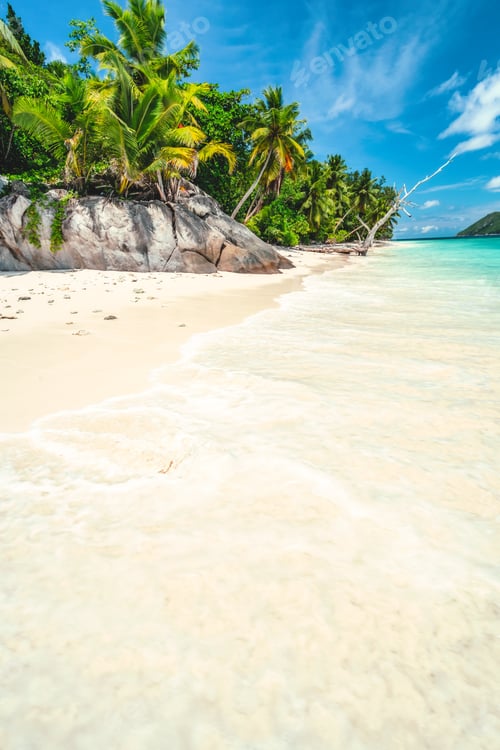 Preview: Vacation holiday bright day background wallpaper. Palm trees on tropical secluded sandy beach. Blue