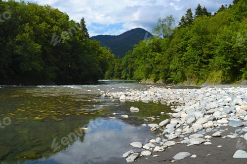Preview: Landscape of mountain river in forest