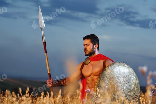 Preview: Muscular medieval warrior standing in the field