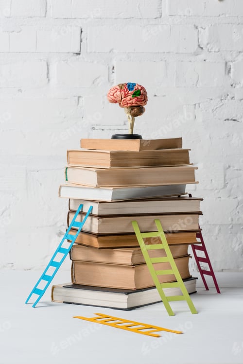 Preview: brain model on pile of books and small colorful step ladders