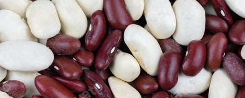 Preview: mixed white and red beans. background or texture