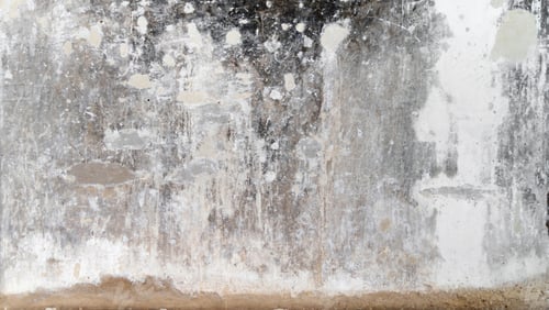 Preview: Pattern surface texture. Close-up of material for background