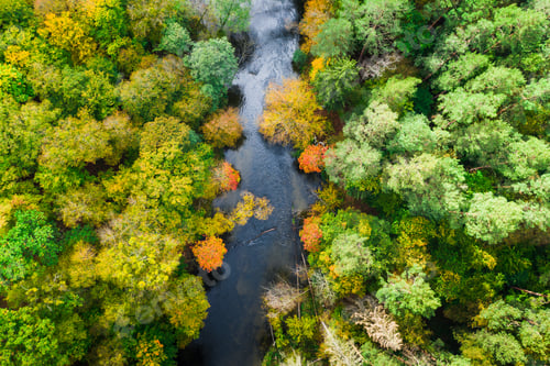Preview: Top down view of wonderful forest and river in autumn