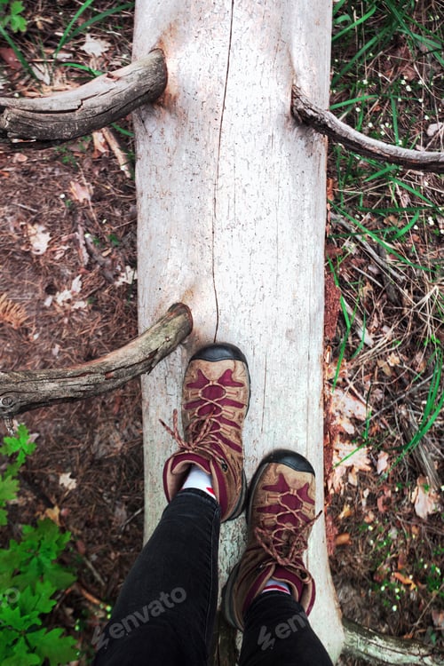 Preview: a hiking boots