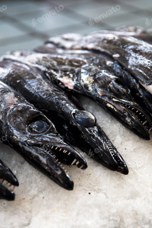 Preview: Espada fish on traditional fish market in Funchal at Madeira island, Portugal
