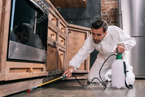 Preview: side view of pest control worker spraying pesticides under cabinet in kitchen