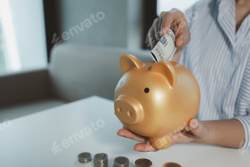 Preview: Accountant is putting money into a piggy bank, Financier is bringing savings methods to clients who