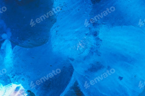 Preview: Abstract blue watercolor flower design painting