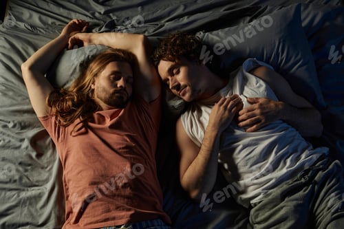 Preview: Cozy Evening Together: A Loving Moment Between Two Partners at Home