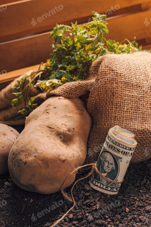 Preview: Making profit from organic farming of potato and parsley