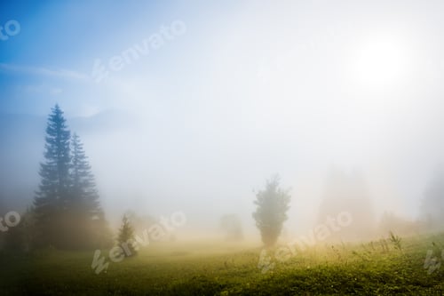 Preview: Beautiful mesmerizing landscape covered in thick fog