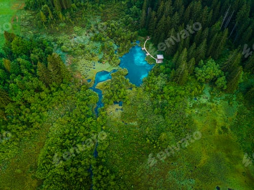 Preview: Zelenci Springs in Julian Alps Slovenia. Nature Reserve Landscape