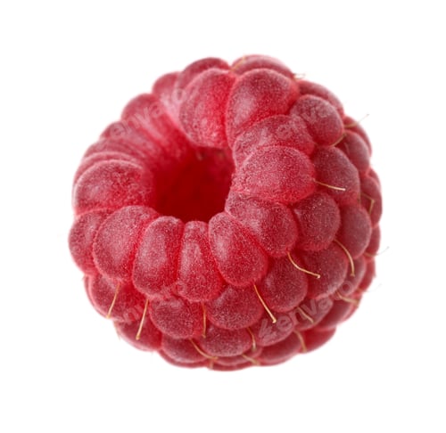 Preview: One fresh ripe raspberry isolated on white