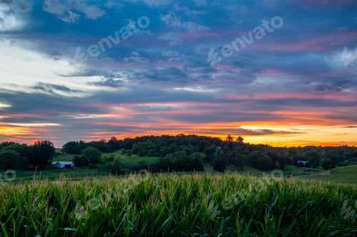 Preview: Beautiful sunset in a field in Iowa