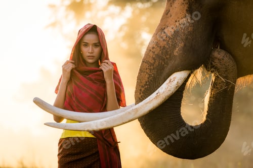 Preview: Elephant and woman in Thailand