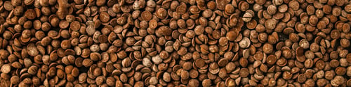 Preview: Chocolate Drops (Black Or Milk Chocolate, Sweet Ingredient) Menu Concept. Food Background. Copy