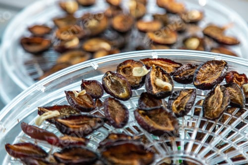 Preview: Plums dried in a dehydrator. Selective focus.