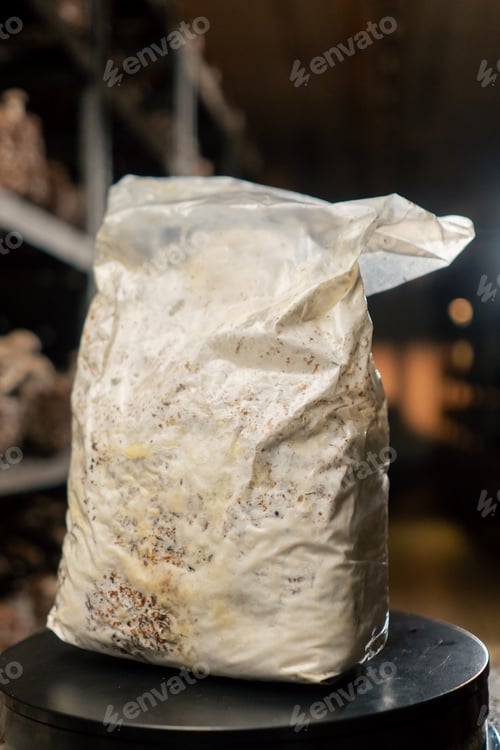 Preview: A mushroom farm that grows mushrooms in plastic bags and organic soil materials on racks natural