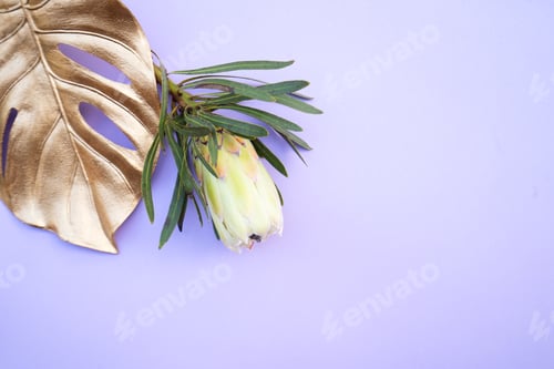 Preview: Tropical leaves and flowers over green background, summer background with copy space