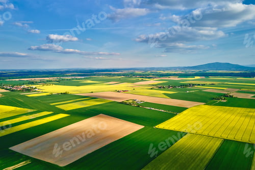 Preview: Yellow rapeseed fields with blooming rapeseed crops in rural farmland