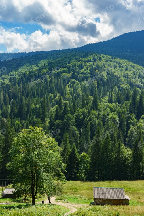 Preview: Beautiful Landscape Of Village In Valley Among The Mountains In Summer Day, Carpathians, Ukraine