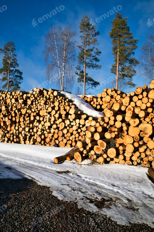 Preview: Stacks of tree trunks ready for transport in springtime, Finland