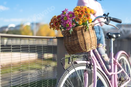 Preview: Black young woman riding a vintage bicycle