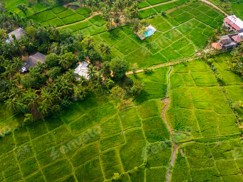 Preview: Rice Terrace Aerial Shot. Image of beautiful terrace rice field in Thailand