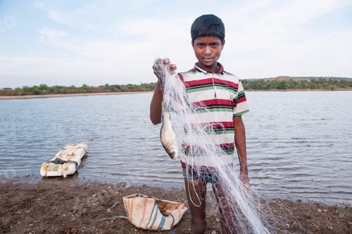 Preview: Young Fisherman take fish out of the net in front lake, India.