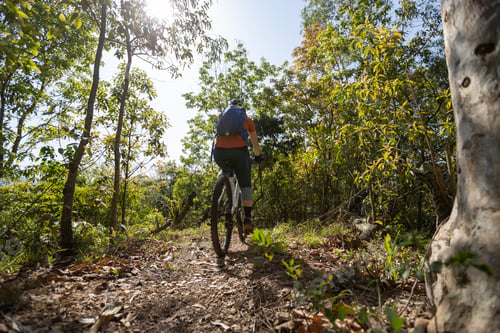 Preview: Mountain biking in spring forest