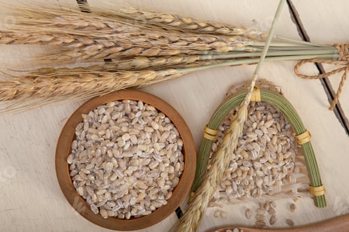 Preview: organic barley grains