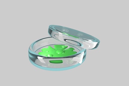 Preview: Petri dish with green culture